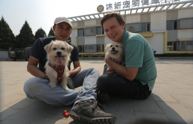 Український мандрівник дізнався секрети лабораторій з клонування у Китаї (відео)