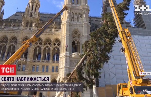 Свято наближається: у центрі Відня встановили найвищу за всю історію міста новорічну ялинку (відео)
