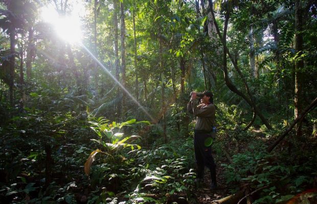 Кругосвітні подорожі, авантюри і пірати: найкращі екранізації пригодницьких романів Жюля Верна