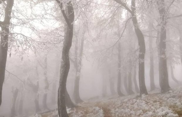 Казкова зима у Карпатах: на вершинах лежить сніг, гори потопають у тумані (фоторепортаж)