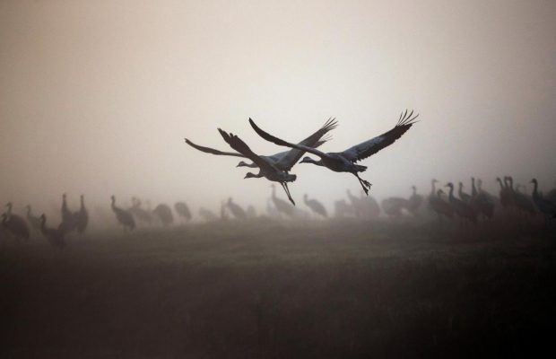 13 сентября: приметы и обычаи дня, что нельзя делать