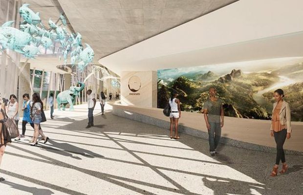 "Ноїв ковчег" для природи та зникаючих тварин: у ПАР з'явиться унікальний заповідник (фоторепортаж)