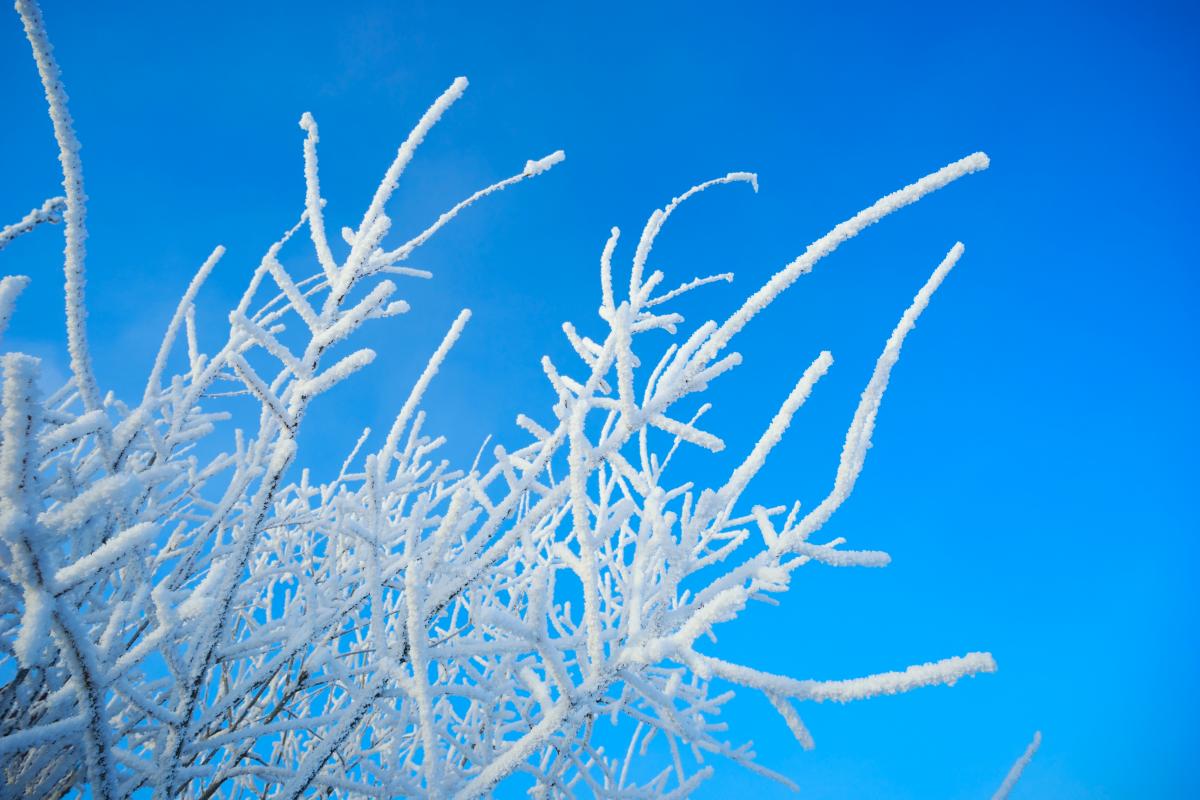 Сегодня в большинстве областей - ясная морозная погода / Фото ua.depositphotos.com