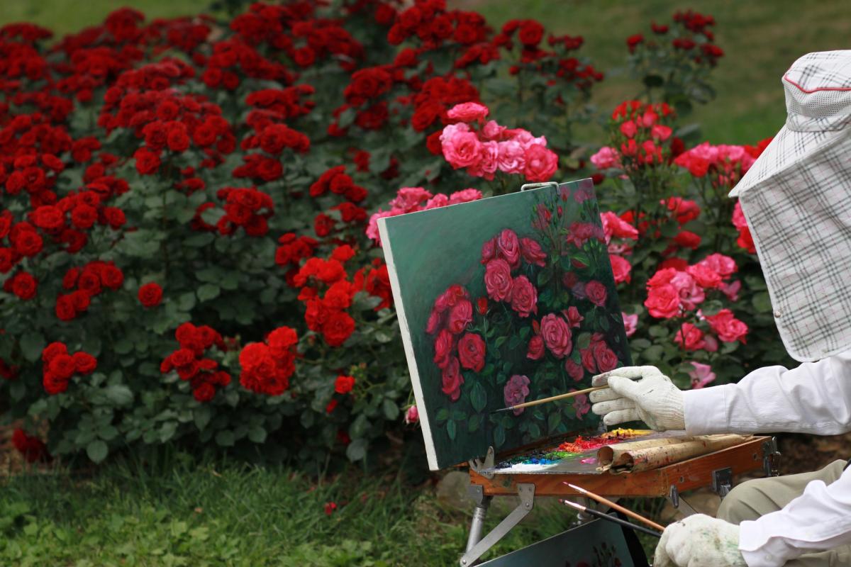 Сьогодні - День художника / фото pixabay.com Сьогодні - День художника / фото pixabay.com
