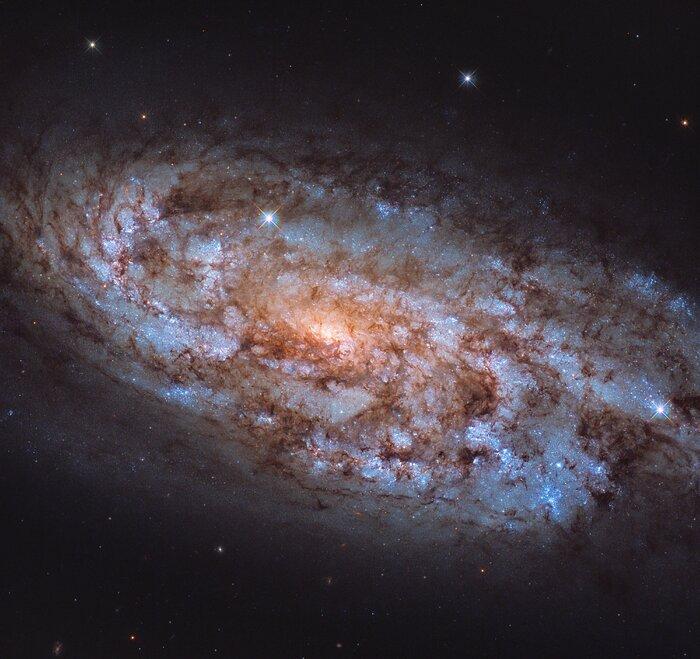 Галактика NGC 1792 расположена в созвездии Голубя / фото ESA/Hubble & NASA, J. Lee Галактика NGC 1792 расположена в созвездии Голубя / фото ESA/Hubble & NASA, J. Lee