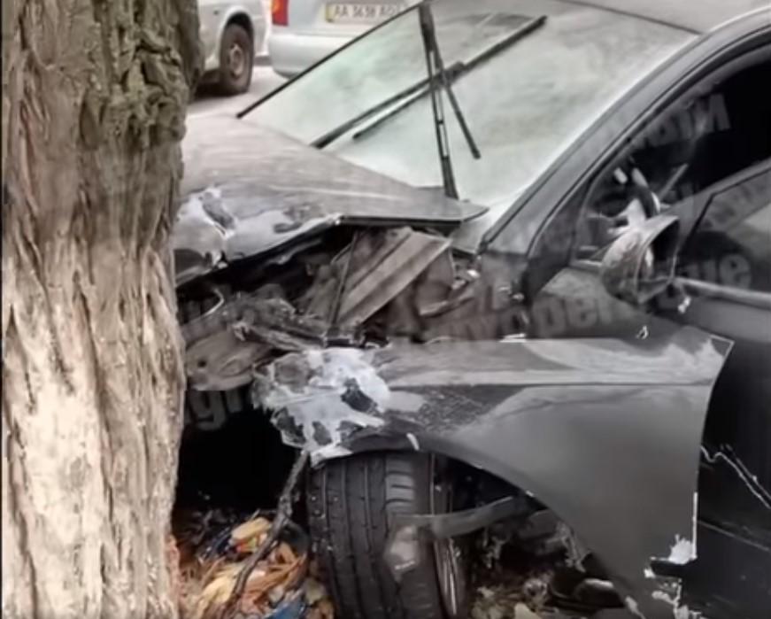Водителям смогло остановить только дерево / скриншот из видео Водителям смогло остановить только дерево / скриншот из видео