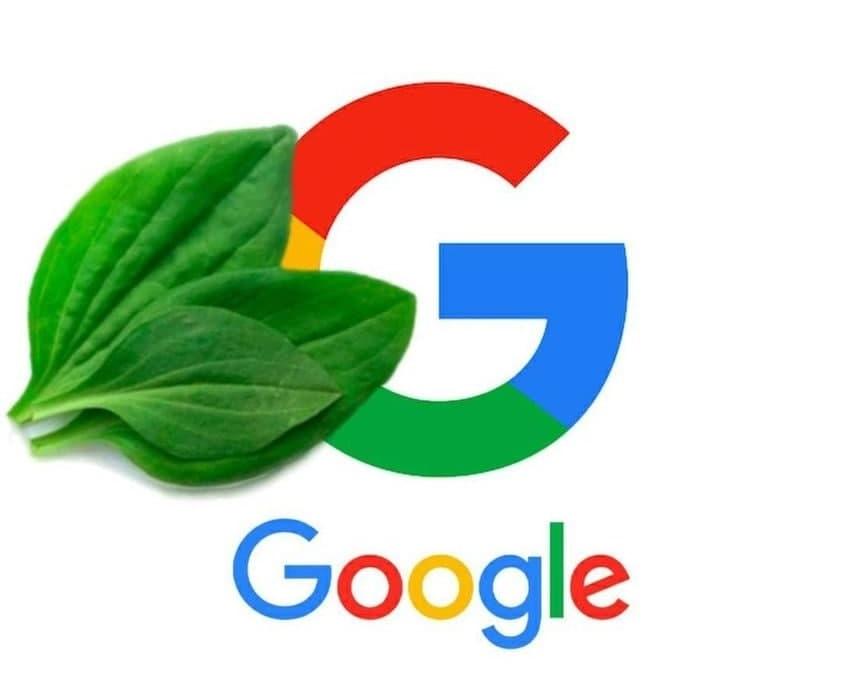 Реакция соцсетей на глобальный сбой в Google / Фото из соцсетей Реакция соцсетей на глобальный сбой в Google / Фото из соцсетей