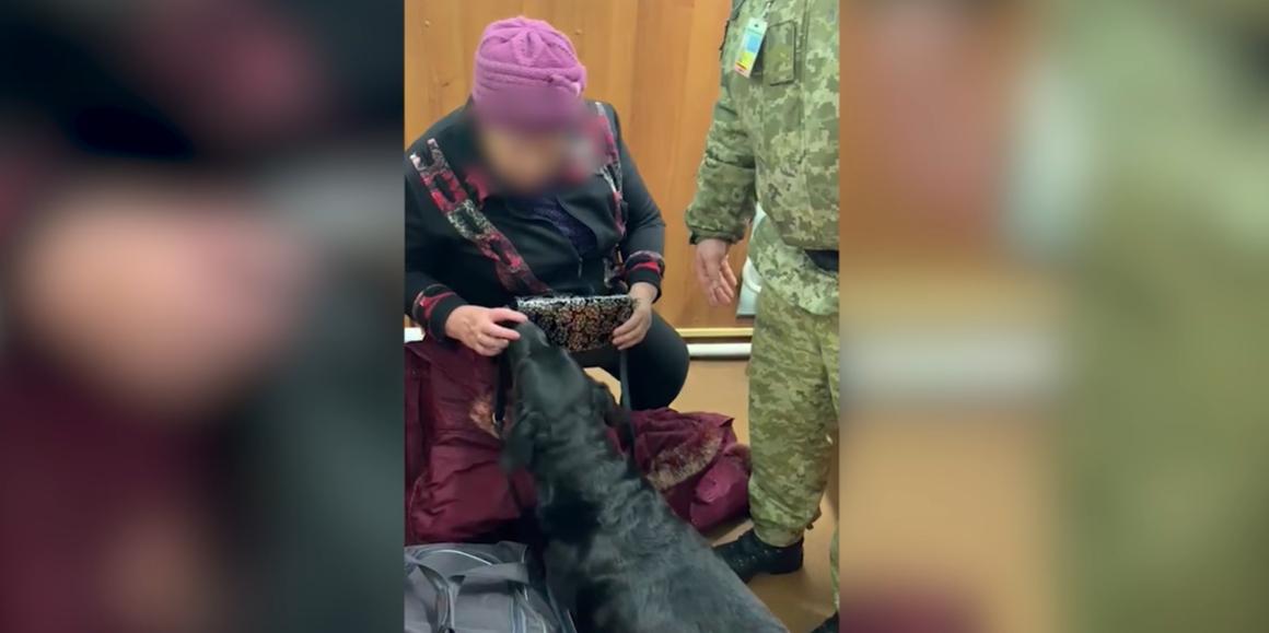 Українку разом з виявленою речовиною передали правоохоронцям / Скріншот Українку разом з виявленою речовиною передали правоохоронцям / Скріншот