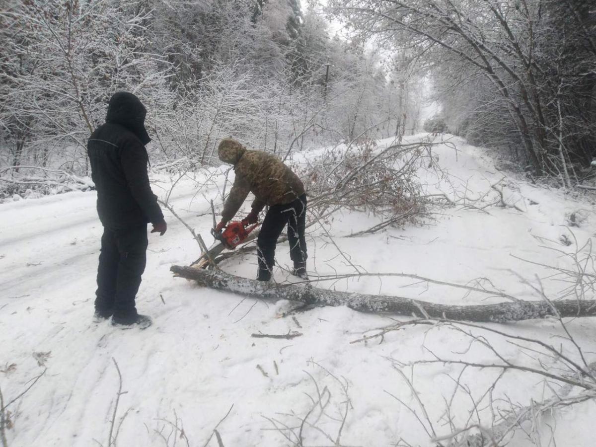 Рятувальники розрізають дерева на декілька частин, щоб прибрати / Фото cg.gov.ua Рятувальники розрізають дерева на декілька частин, щоб прибрати / Фото cg.gov.ua