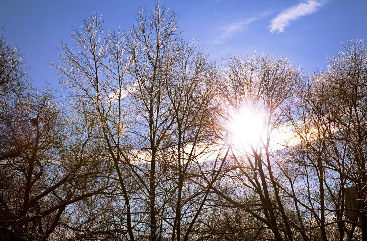 Сонячна, але морозна погода очікується в Україні / фото ua.depositphotos.com