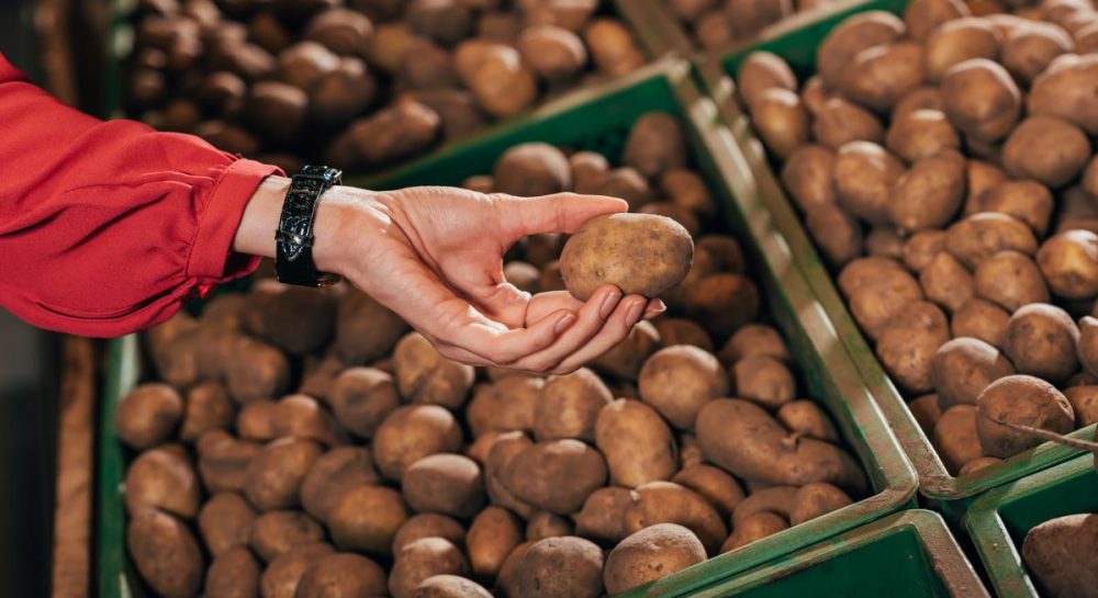 Чтобы картошка не прорастала и не гнила: как правильно хранить картофель —УНИАН