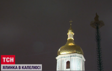 В Киеве на главную елку страны надели шляпу (фото, видео)