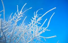 В Україні вдарить мороз, але сніг випаде всього в одній з областей: погода на сьогодні (карта, відео)