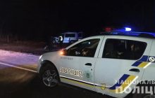 На Одещині водій Opel врізався в коня, обидва загинули (фото)