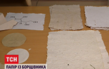 На Прикарпатье нашли полезное применение ядовитому растению (видео)