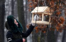 Во Всемирный день климата в Киеве провели акцию "Накорми птиц зимой" (фоторепортаж)