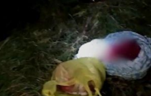 Народила та викинула на смітник: поліція розслідує моторошне вбивство дитини на Херсонщині (фото)