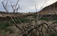 З’явилися нові фото з обмілілого Криму