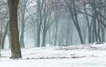 Несколько областей Украины накроют дожди и снегопад: погода на сегодня (карта, видео)