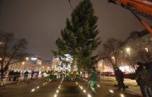 У Львові почали встановлювати новорічну ялинку (фото, відео)
