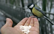 Народные приметы и обычаи 13 января: что нельзя делать в день Меланьи