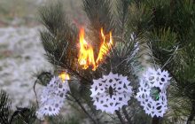 Столичные спасатели рассказали, как безопасно отпраздновать Новый год (фоторепортаж)