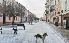Мер Чернівців розповів, як каратиме за підвищення цін на оренду житла