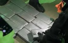 Під Одесою у контейнері з фруктами знайшли кокаїн на 12 мільйонів доларів (відео)