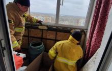 В Днепре в квартире нашли более 500 летучих мышей: прятались под обшивкой (фото)