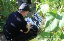 На Черниговщине признан невменяемым отец, зарезавший в поле 7-летнего сына