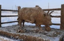 Бик із гною, який дихає парою: у Росії презентували смердючий символ 2021 року (відео)