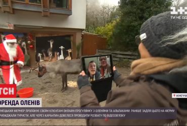 Німецький фермер здає в оренду своїх оленів для онлайн-прогулянки