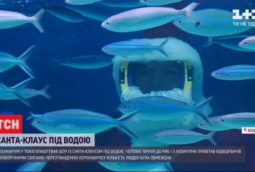 Санта-водолаз: у Токійському океанаріумі показали підводне різдвяне шоу