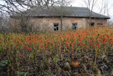 Krasne, abandoned village in Chornobyl Exclusion Zone