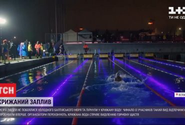 В Естонії тисячі людей взяли участь у крижаному запливі