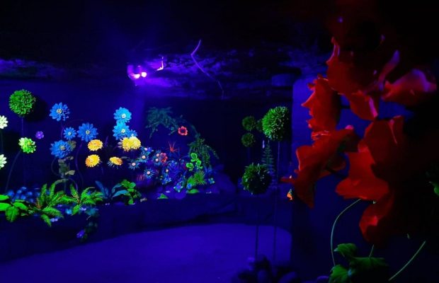 Галерею в одеських катакомбах визнали найбільшим підземним арт-простором Європи (фото)