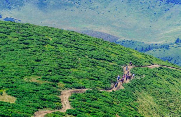 Відпустка "вдома": ЗМІ дізналися про найпопулярніші туристичні місця в Україні цього року