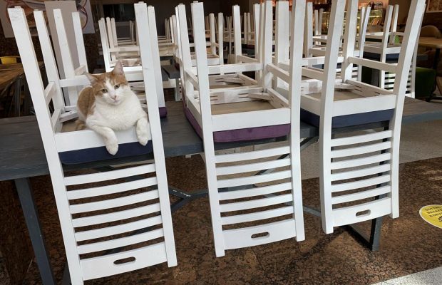 У готелях Туреччини заборонили новорічні заходи