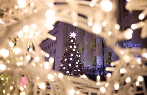 Ялинка біля ОП вже "горить": Зеленський з дружиною відвідали зимове містечко (фото, відео)