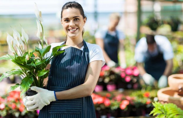 Посевной календарь на август 2021: благоприятные дни для работы в саду и огороде