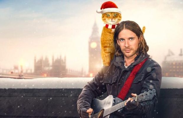 Что в кино на Новый год: «Фестиваль Рифкина», «Рождество кота Боба» и другие премьеры 31 декабря для хорошего настроения