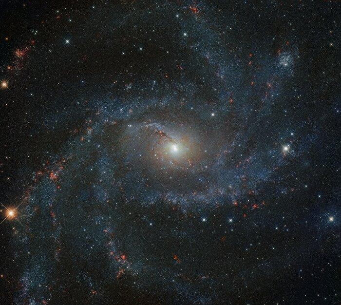 За останні сто років в цій галактиці зареєстрували 10 наднових / фото ESA / Hubble & NASA, A. Leroy, K. S. Long За останні сто років в цій галактиці зареєстрували 10 наднових / фото ESA / Hubble & NASA, A. Leroy, K. S. Long