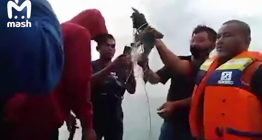 Рыбаки нашли кабель, вероятно, с разбившегося самолета \ скриншот с видео Mash