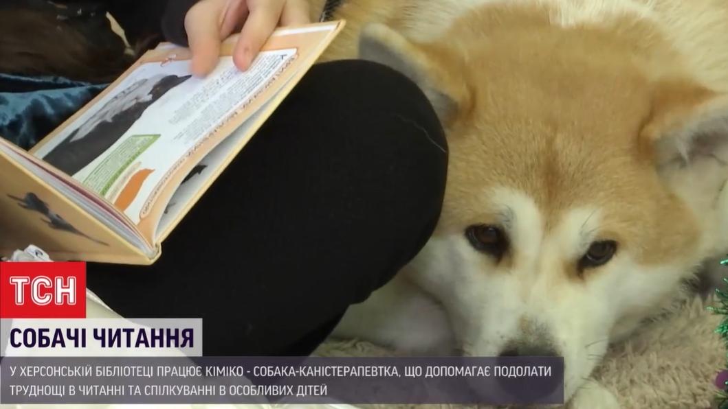 Собака працює у бібліотеці вже два роки / Скріншот Собака працює у бібліотеці вже два роки / Скріншот