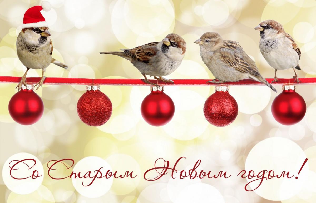 Зі Старим Новим роком листівки / фото bonnycards.ru Зі Старим Новим роком листівки / фото bonnycards.ru