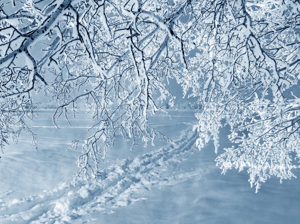 В ближайшие дни в Украине будет очень холодно / Фото ua.depositphotos.com