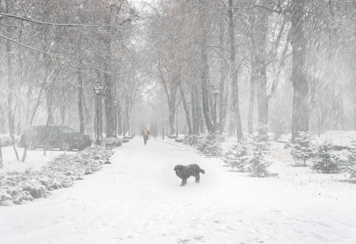 В Украину придет настоящая зима / Фото ua.depositphotos.com