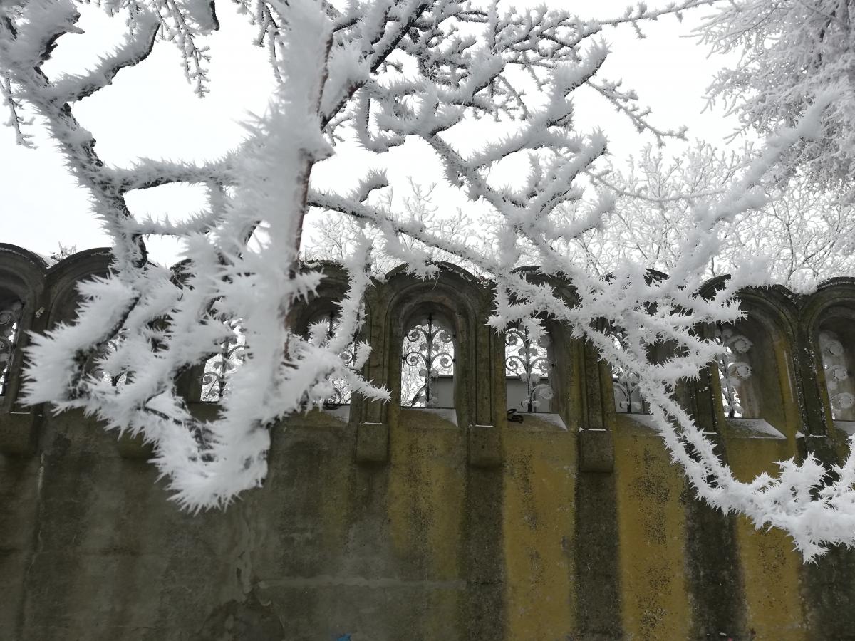 Ось такі дива готує зимова Буковина / фото Марина Григоренко