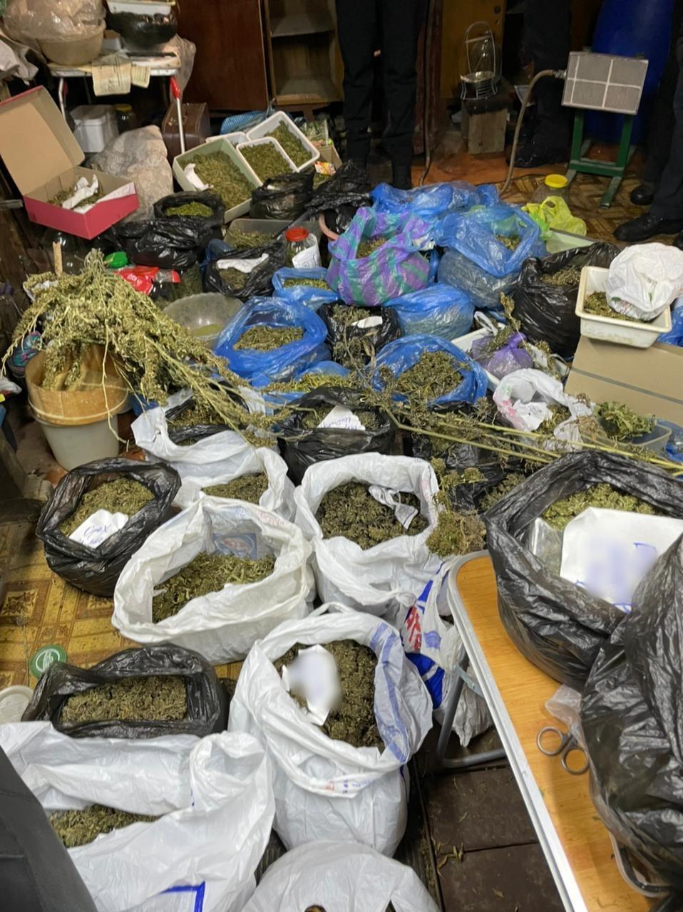 В доме мужчины обнаружили 80 кг каннабиса / фото khar.gp.gov.ua В доме мужчины обнаружили 80 кг каннабиса / фото khar.gp.gov.ua