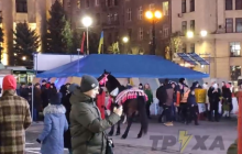 В центре Харькова новогодний фейерверк напугал лошадь: животное едва удержали на месте (видео)
